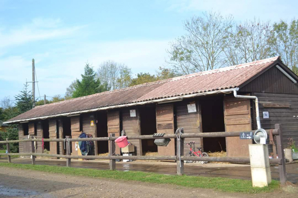 pension pour cheval, écurie de normandie : Qui trotte vie